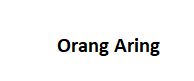 Orang Aring