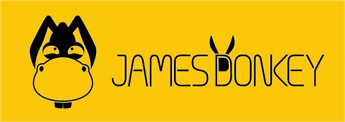 Jual James Donkey 102 Wireless Mouse - Hitam Online