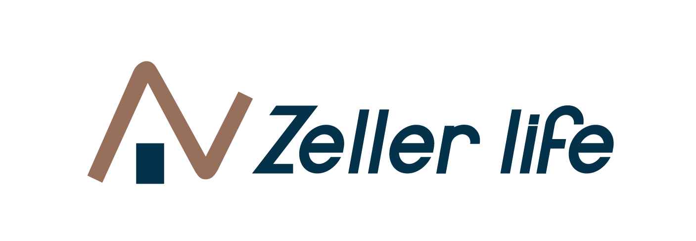 Jual Zeller Life Skeleton Modern Home Decor Round Clock