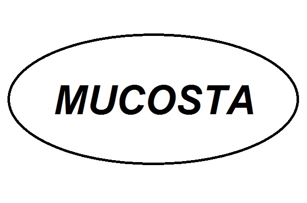 Jual Mucosta Tablet Obat Kesehatan [100 Mg/ 10 tablet ...