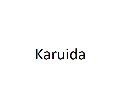 Jual Karuida Terbaru April 2024 100% Original – Official Store ...