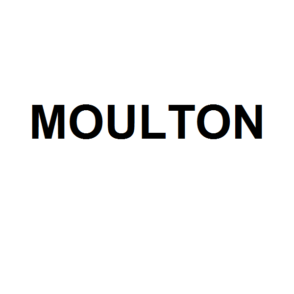 Jual MOULTON AM Speed Sepeda - WHITE Online Maret 2021