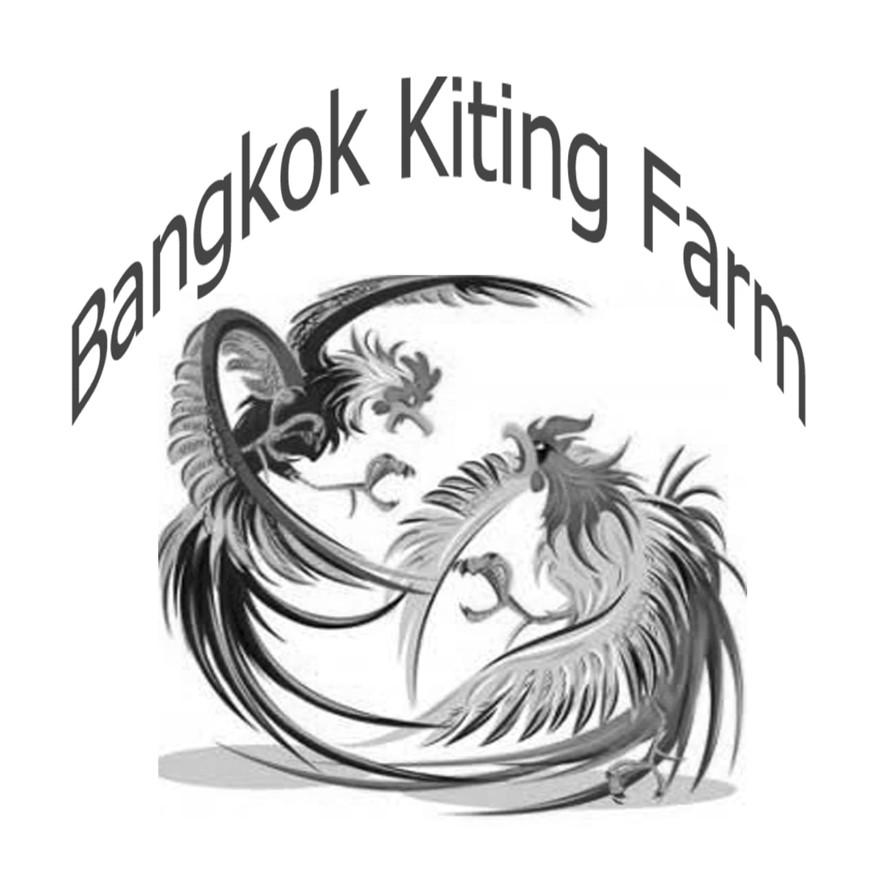 Gambar Logo Farm Ayam Aduan