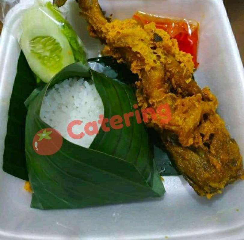 Jual Tomato Catering Nasi Box Ekonomis Lele Kremes Terbaru Juni 2021 Blibli