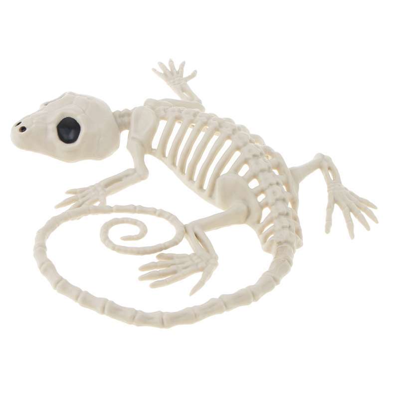 Jual Gecko Skeleton Horror Halloween Ornament PVC Skeleton Animal Festive  Props di Seller Homyl - China | Blibli