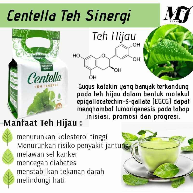 Jual CENTELLA TEH SINERGI HNI HPAI/ TEH HIJAU/ TEH KESEHATAN/ TEH HERBAL HALAL di Seller HNI Amanah DC - Pengasinan, Kota Bekasi | Blibli
