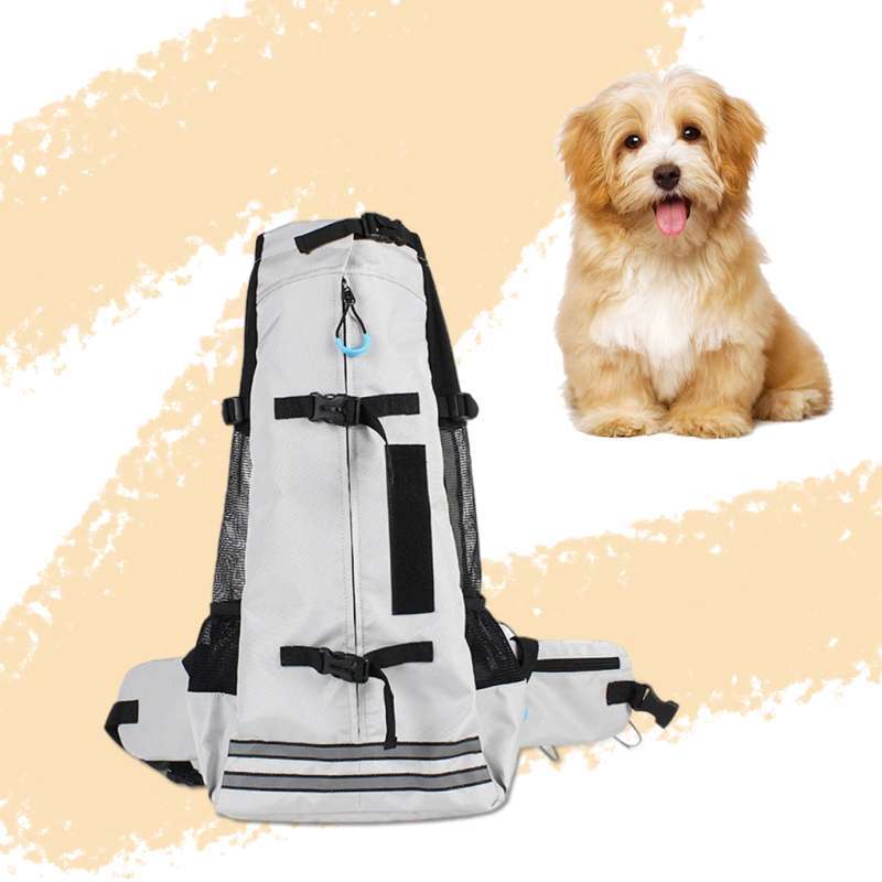 Corgi on sale carrying backpack