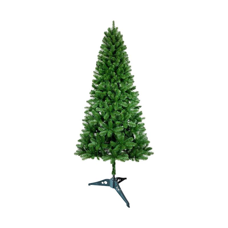 Cabang Pinus Natal Rotan Natal - Referensi Daftar Harga Terbaru ... - GT Flower