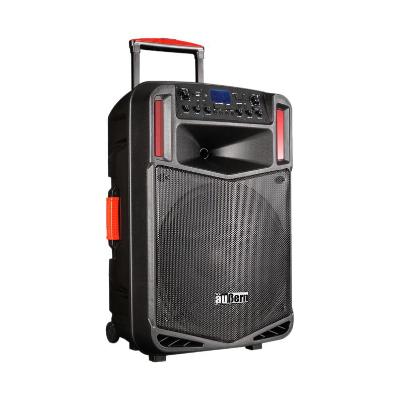 professional portable speaker