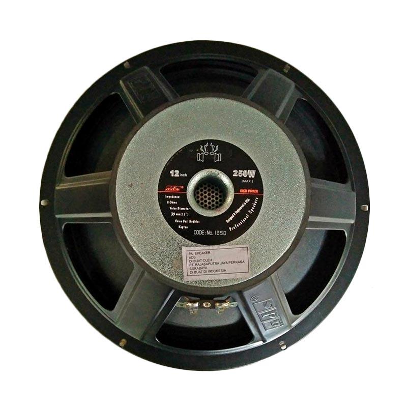 speaker ads 10 inch