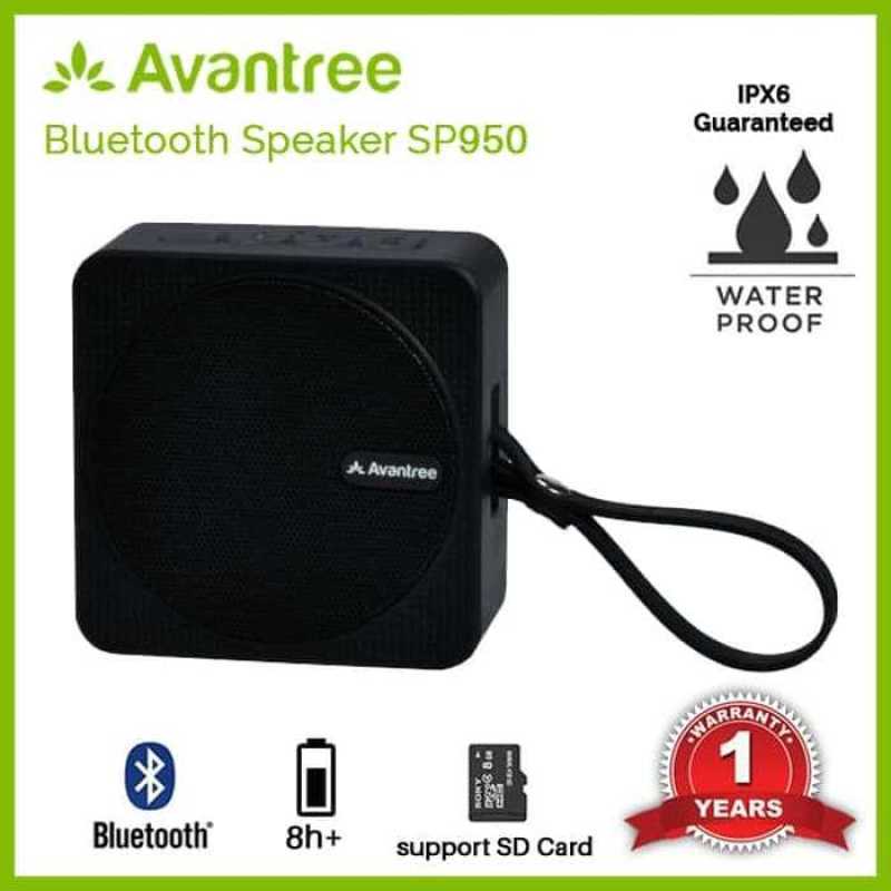Avantree sp950 hotsell