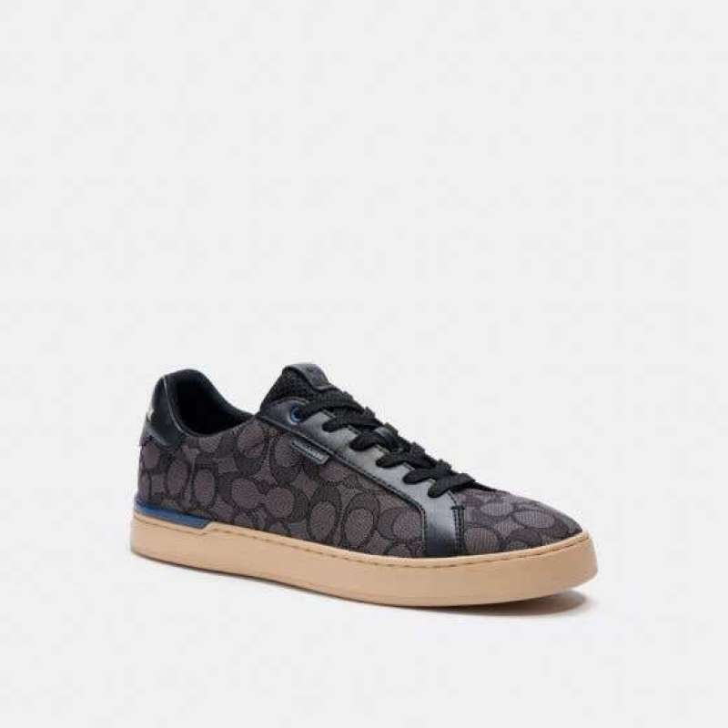 lowline low top sneaker