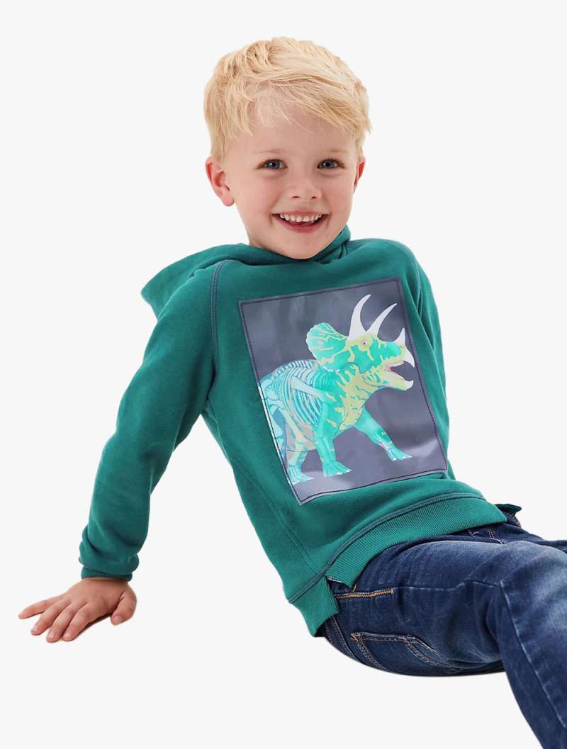 dinosaur hoodie