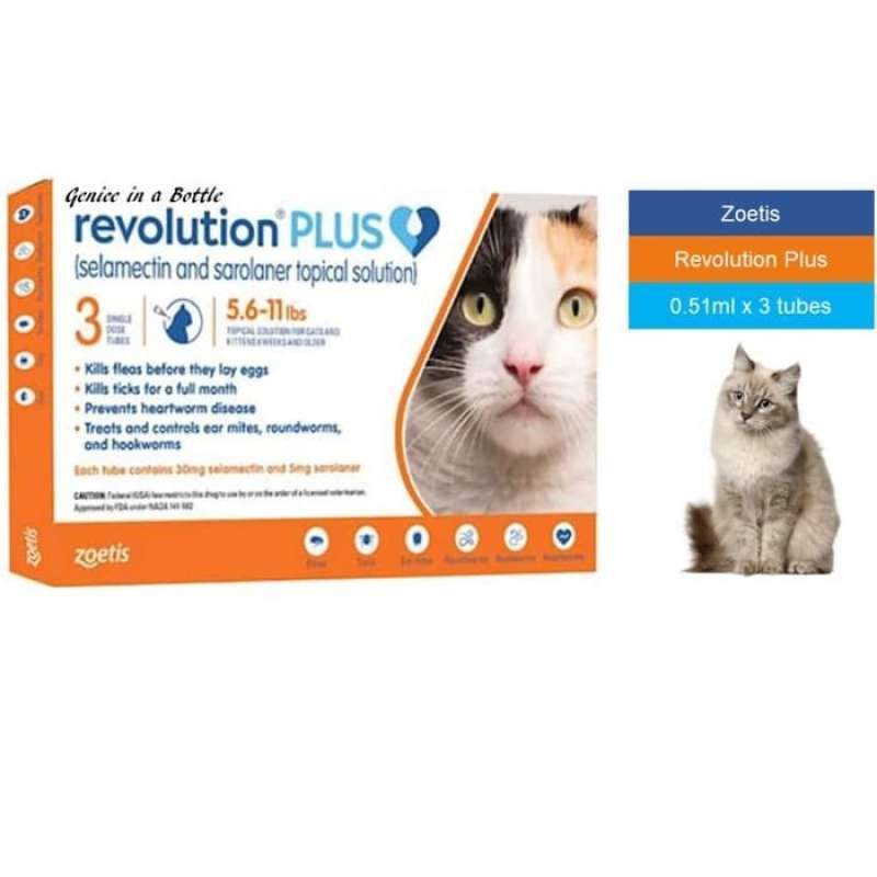 Revolution plus cat hotsell orange