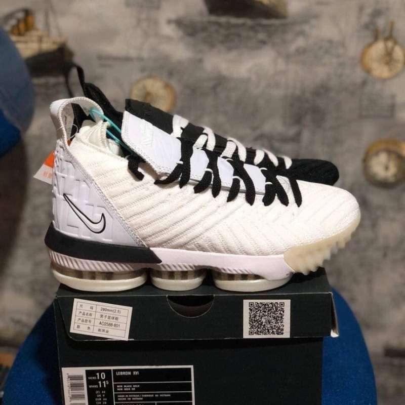 lebron equality black and white