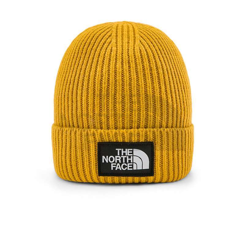 north face beanie logo