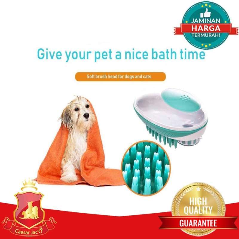 Anjing Pet Hotel And Spa Happy Pets Pet Shop Grooming Online