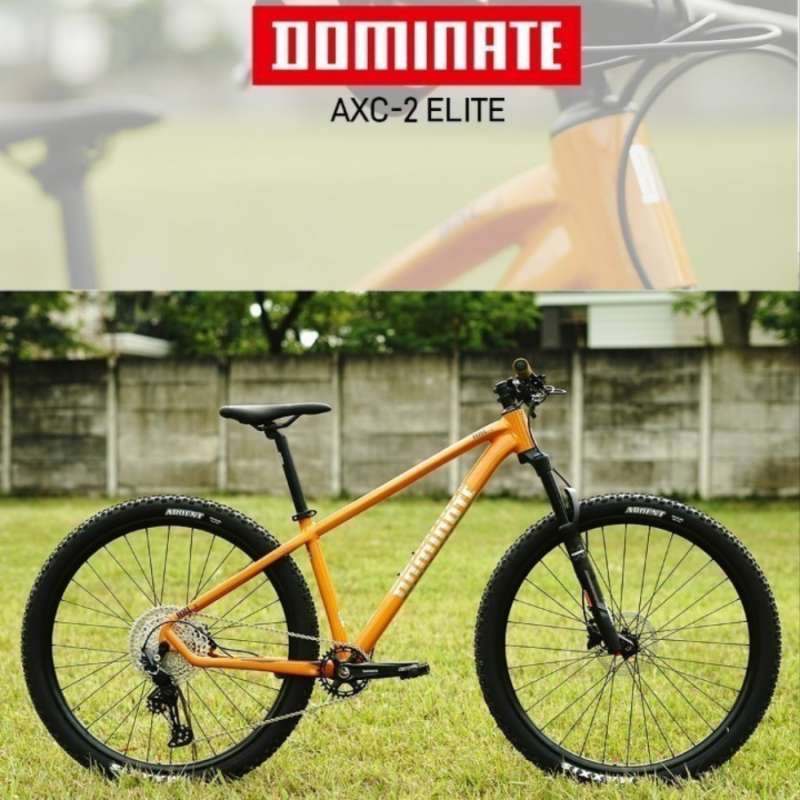 Jual Sepeda Gunung Mtb 29 Dominate Axc-2 Elite 12 Speed Di Seller