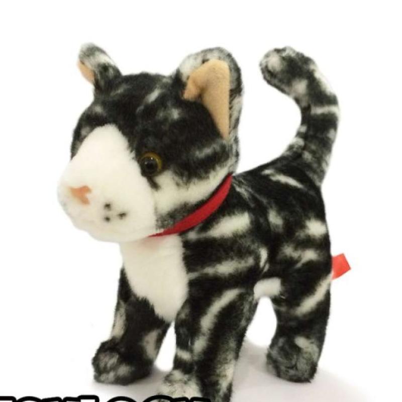 American shorthair cat harga clearance