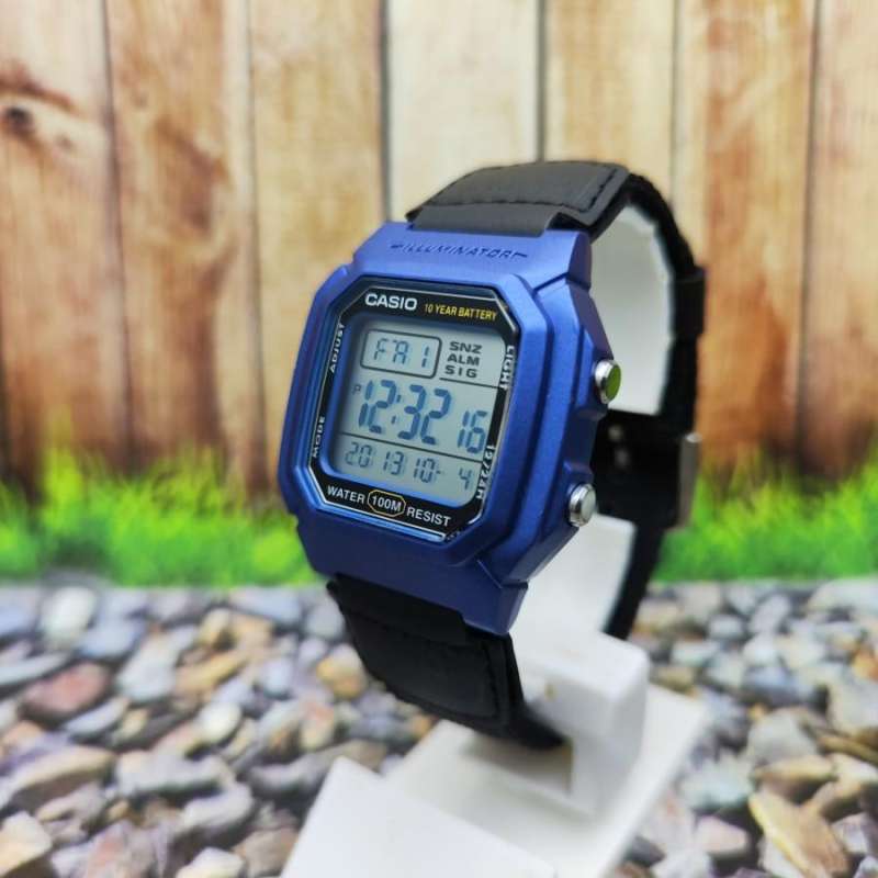 Casio w800 hotsell hm