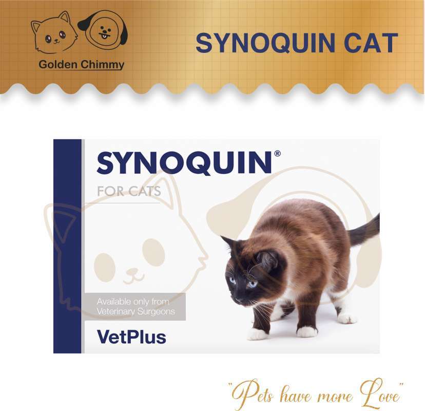 Synoquin cat cheap