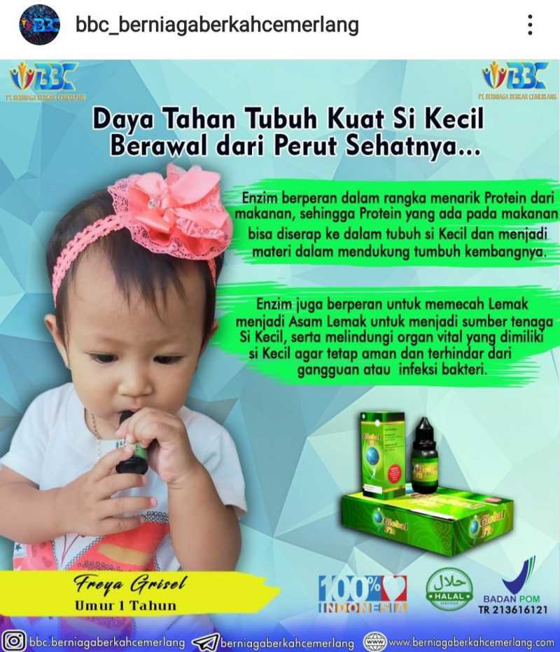Jual GLOBAL FIT ENZYM 100 ORIGINAL PT BBC di Seller mamah sahel