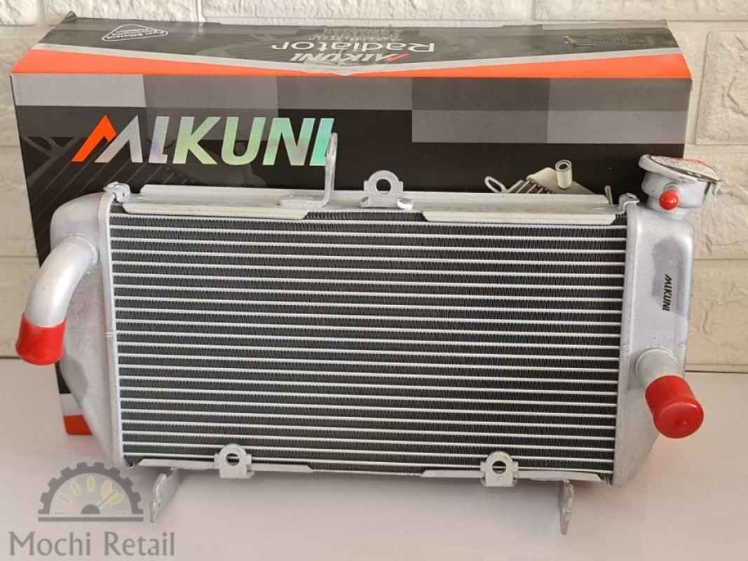 Radiator r25 cheap