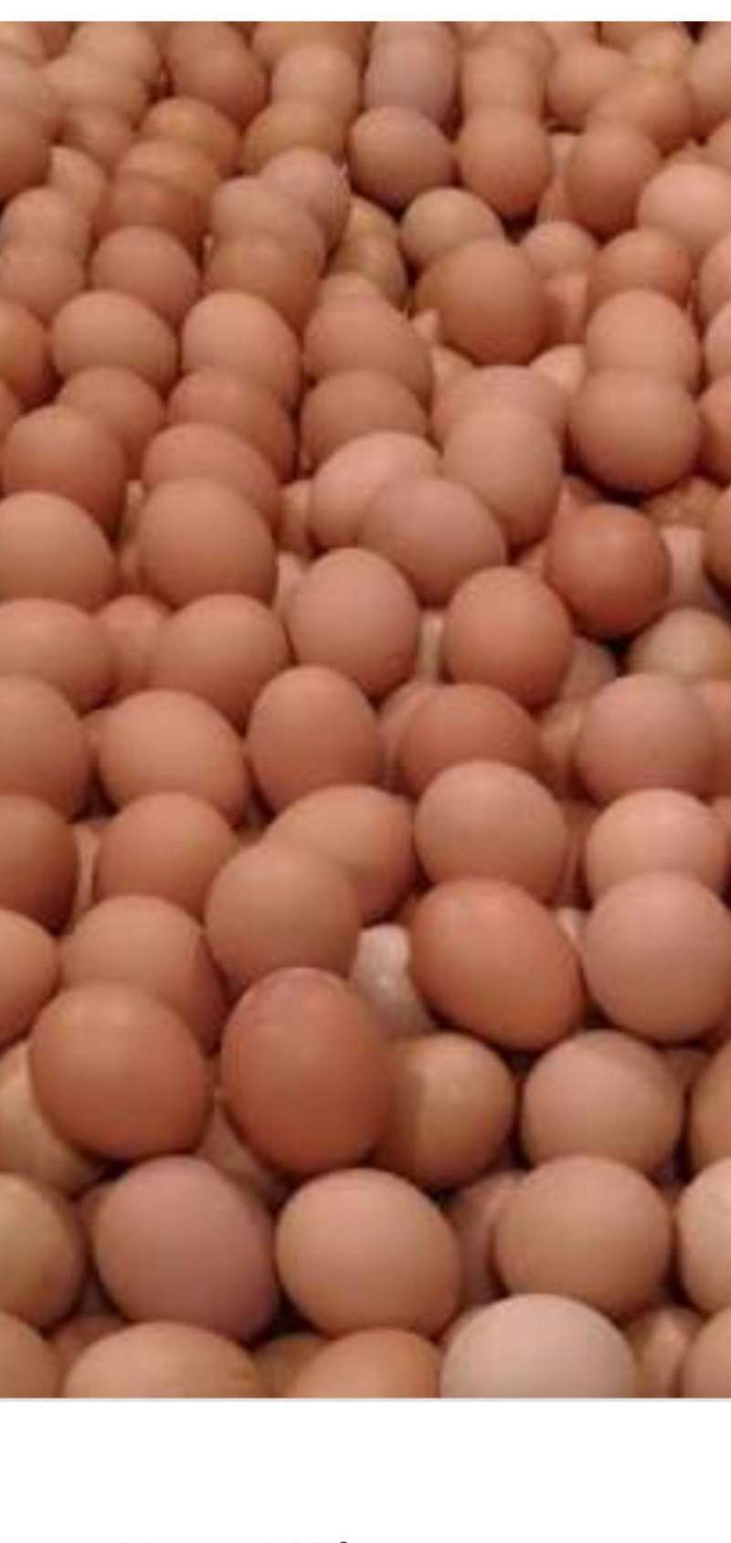 Jual Sembako Cemerlang Telur Ayam Negeri 1 Kg Online April 2021 