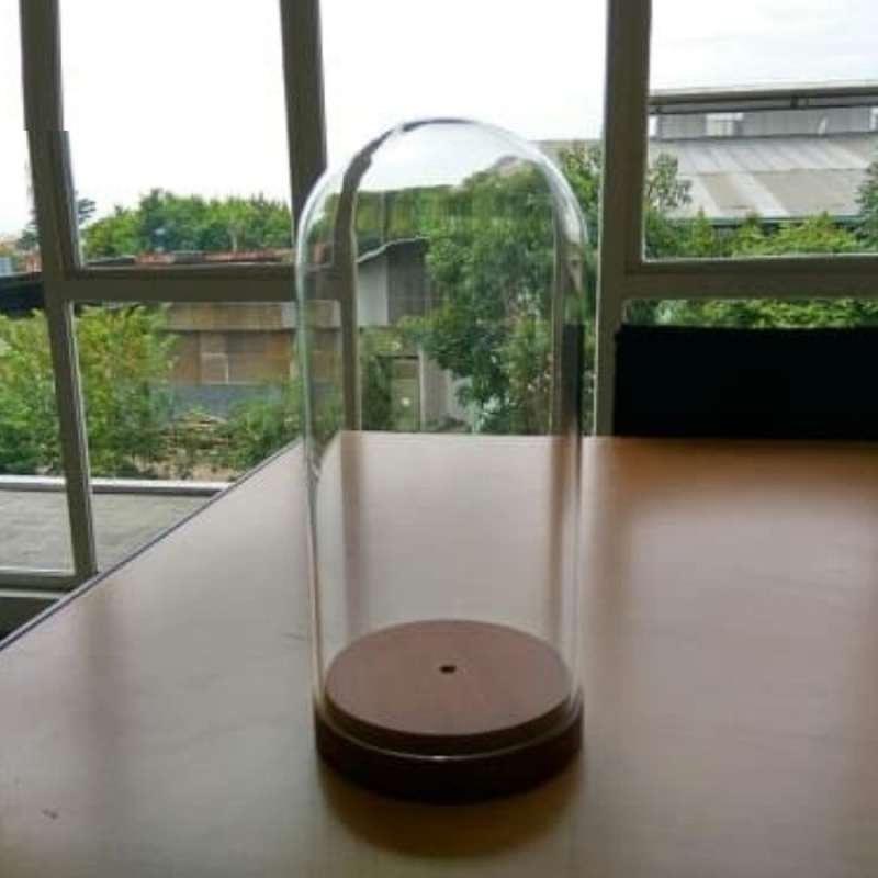 Jual Suji Gelas Kaca Flower Glass Dome Online Januari 2021 Blibli