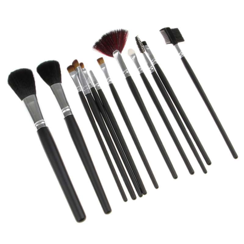 blusher brush set