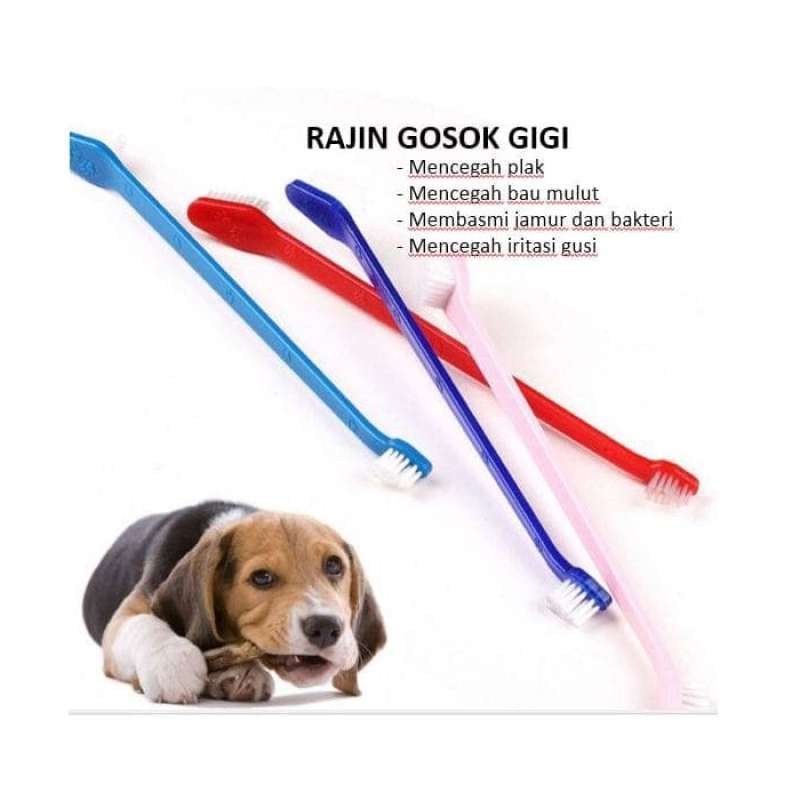 Jual Sikat Gigi Kepala Ganda 2 Ukuran Anjing Kucing Online Desember 2020 Blibli
