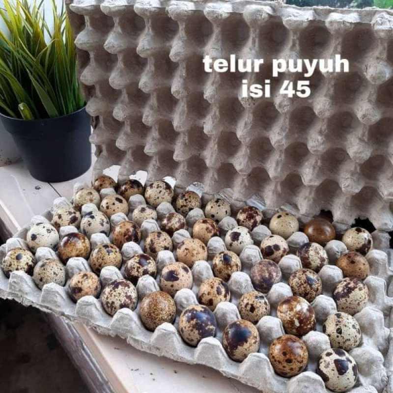 Jual Telur Tambun Telur Puyuh 45 Butir Murah Mei 2021 