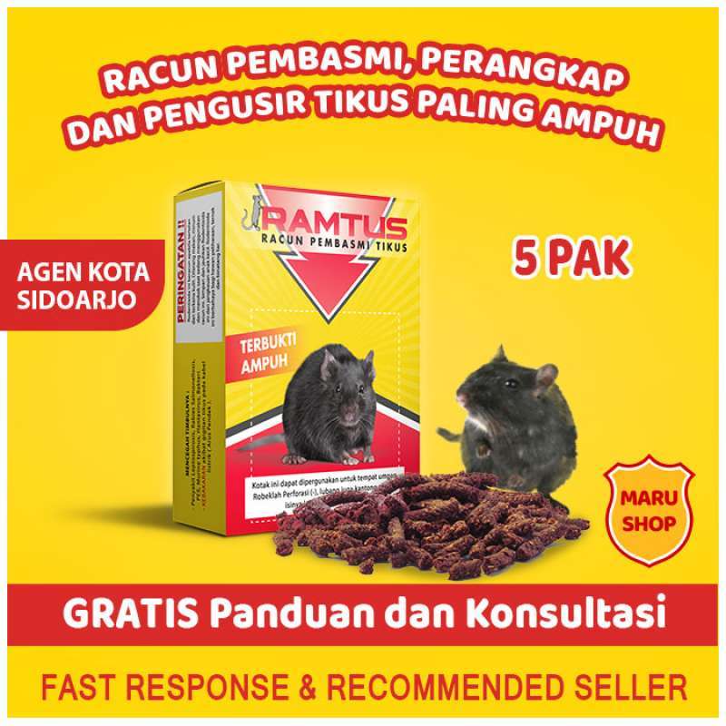 Jual Perangkap Tikus Masal Besar Ampuh Massal Ramtus Modern Alat Jebakan Jumbo Murah Curut Got Terlaris Online Maret 2021 Blibli Tetapi begitu kamu menangkapnya, kamu harus melepaskannya di area. perangkap tikus masal besar ampuh massal ramtus modern alat jebakan jumbo murah curut got terlaris