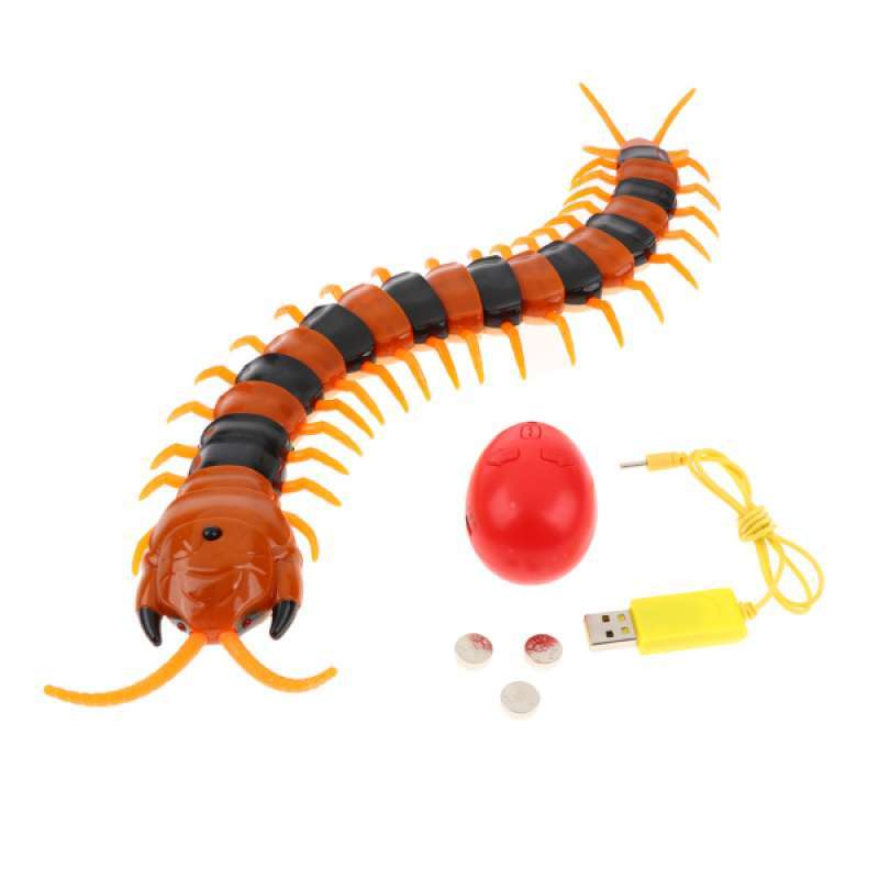 centipede remote control toy