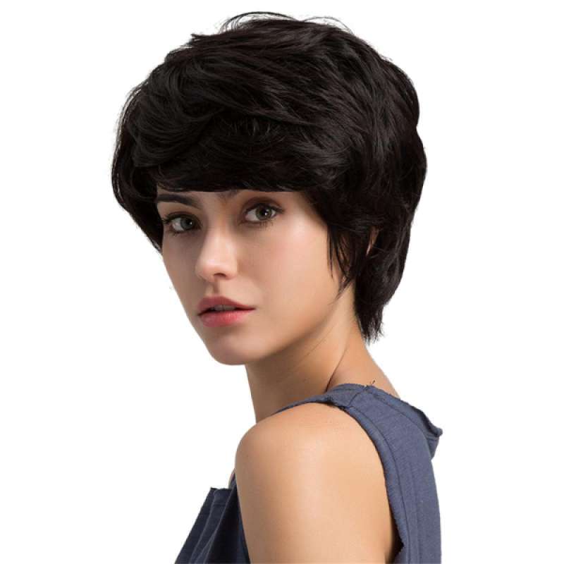 Jual Fancy Women Real Human Hair Wig Short Full Wigs Heat Resistant Cosplay  Black di Seller Homyl - China | Blibli