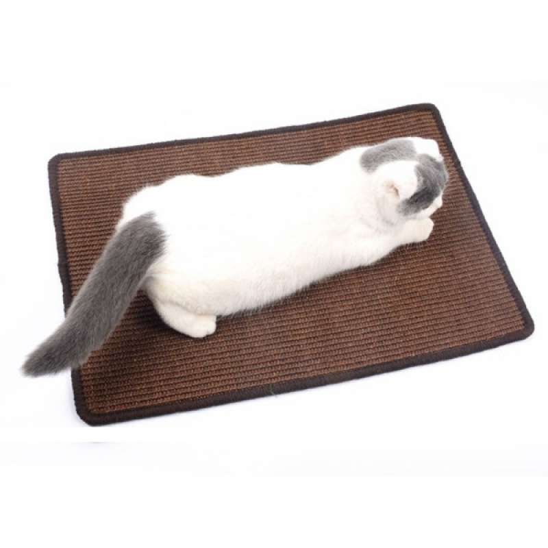 mat cat