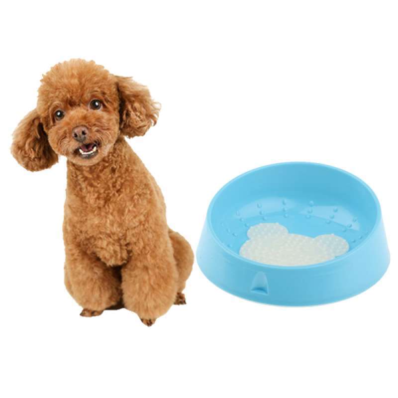 Jual Dog And Cat Bowls Non Slip Food And Water Dish For Dogs Cats And Pets Online September 2020 Blibli Com