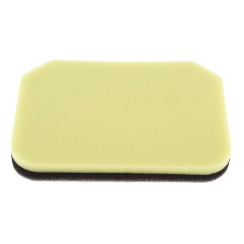 intake filter sponge