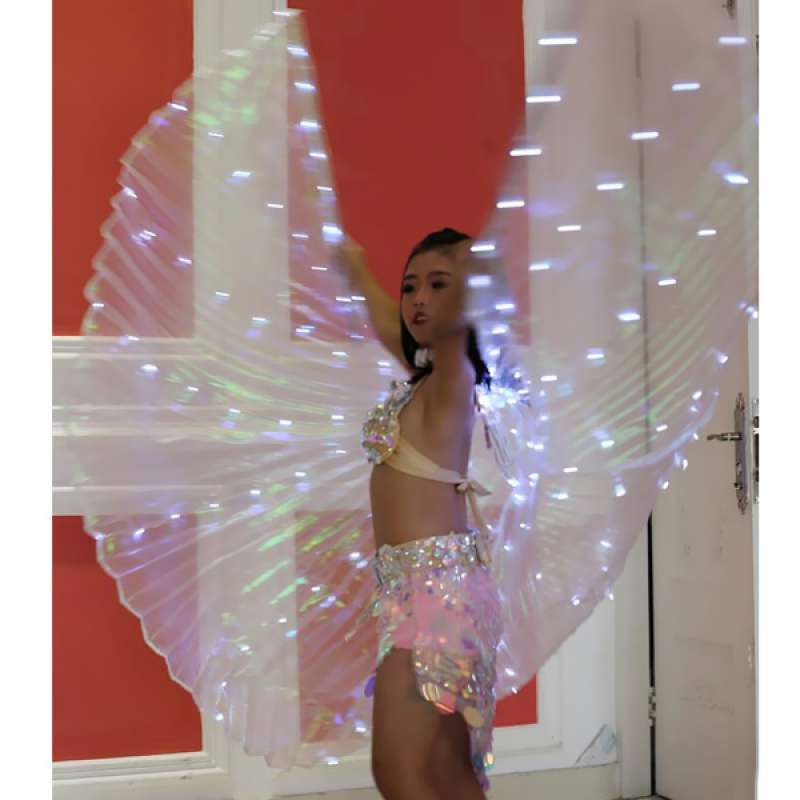 LED Light Isis Wings Belly Dance Club Cosplay Show Light Up Wings Dress Costume 