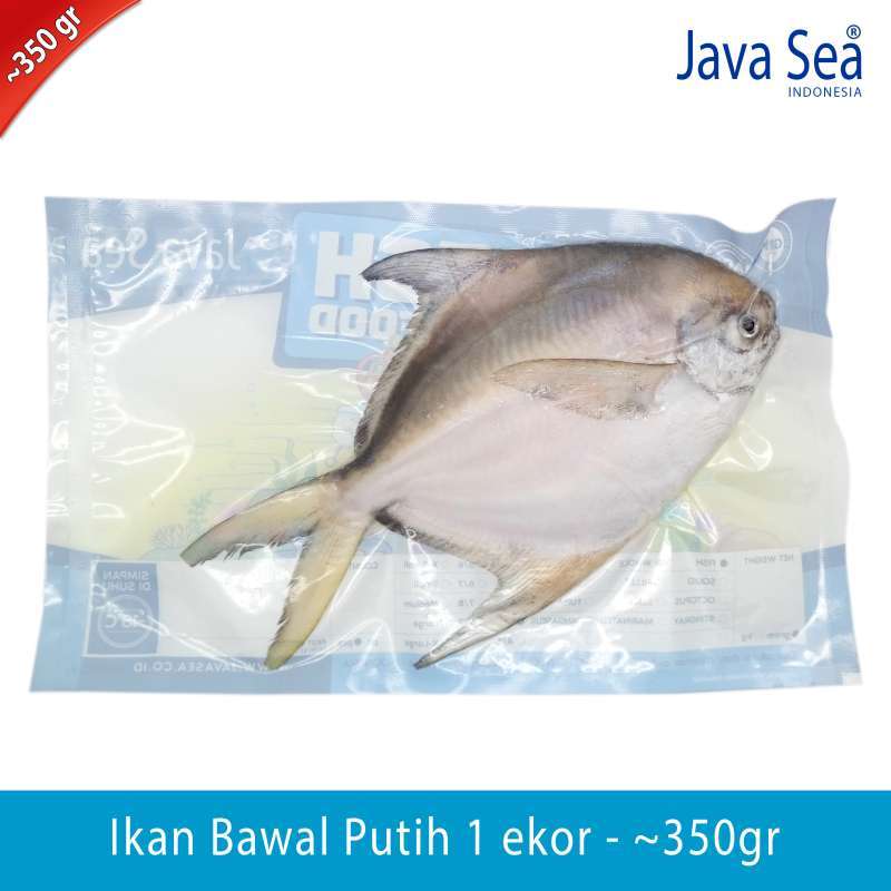 Jual Java Sea Ikan Bawal Putih Utuh 3 4 Pack 350gr Terbaru Juli 2021 Blibli