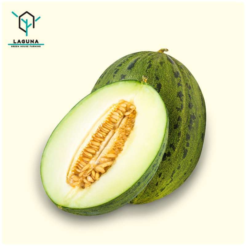 Jual Melon Piel De Sapo 2 Pcs Gratis Ongkir Ke Jabodetabek Online Oktober 2020 Blibli Com