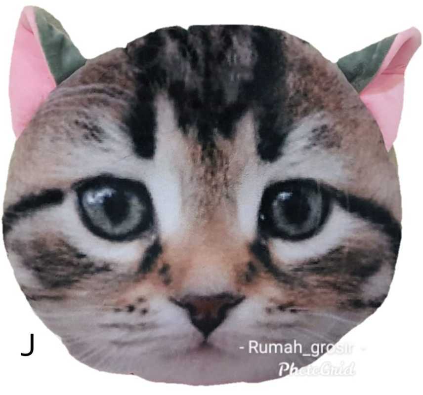 Jual Bantal Boneka Kucing Lucu Online Oktober 2020 Blibli Com