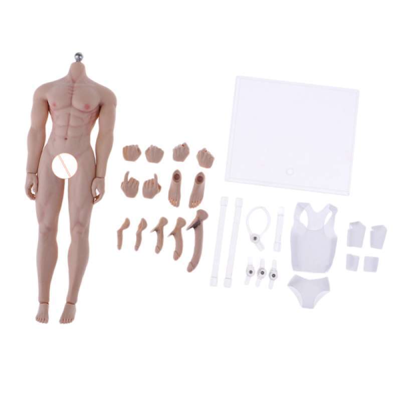 1:6 Scale Male Body Skeleton Action Figure w// Spare Hands for TTM18 TTM19