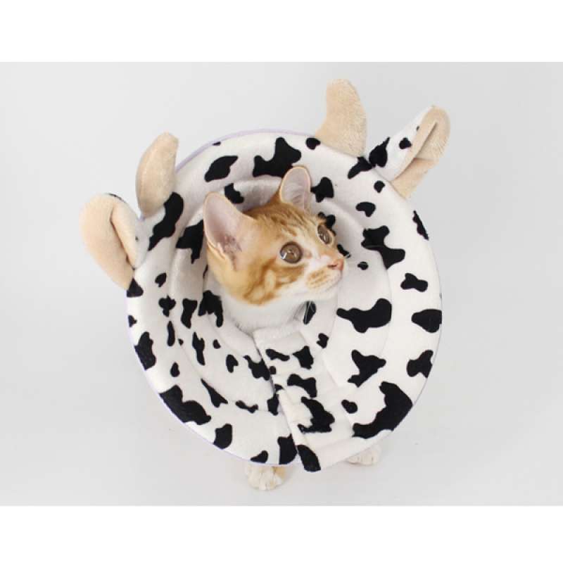 Jual Decor Dog Cat Elizabethan Collar Recovery Cone Collar Pet - jual
cone kucing
