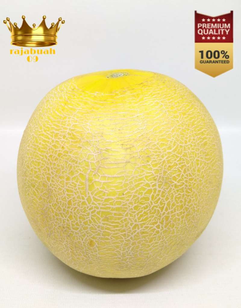 Buah Melon Fresh 2 Kg Bekasi Terbaru Agustus 2021 Harga Murah Kualitas Terjamin Blibli
