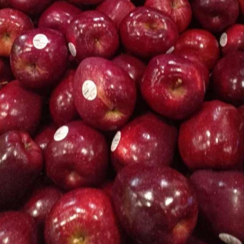 buah apel merah