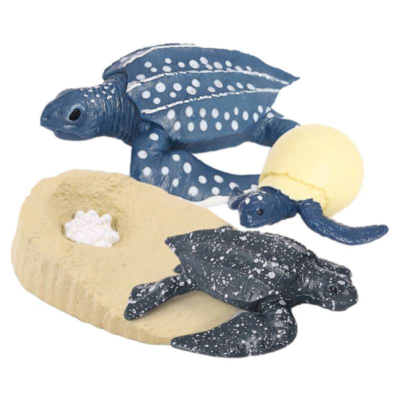 Animal Life Cycle Model Leatherback Turtle Sea Animals Toy Cycle Growth Model 