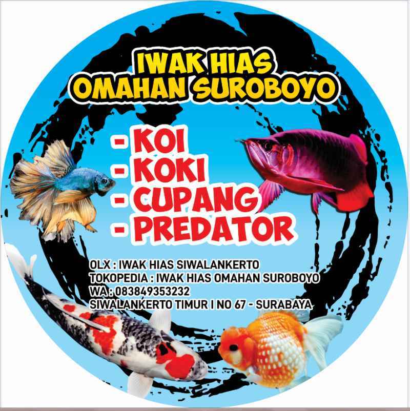 Jual Cetak Banner Custom Murah Mei 2021 Blibli