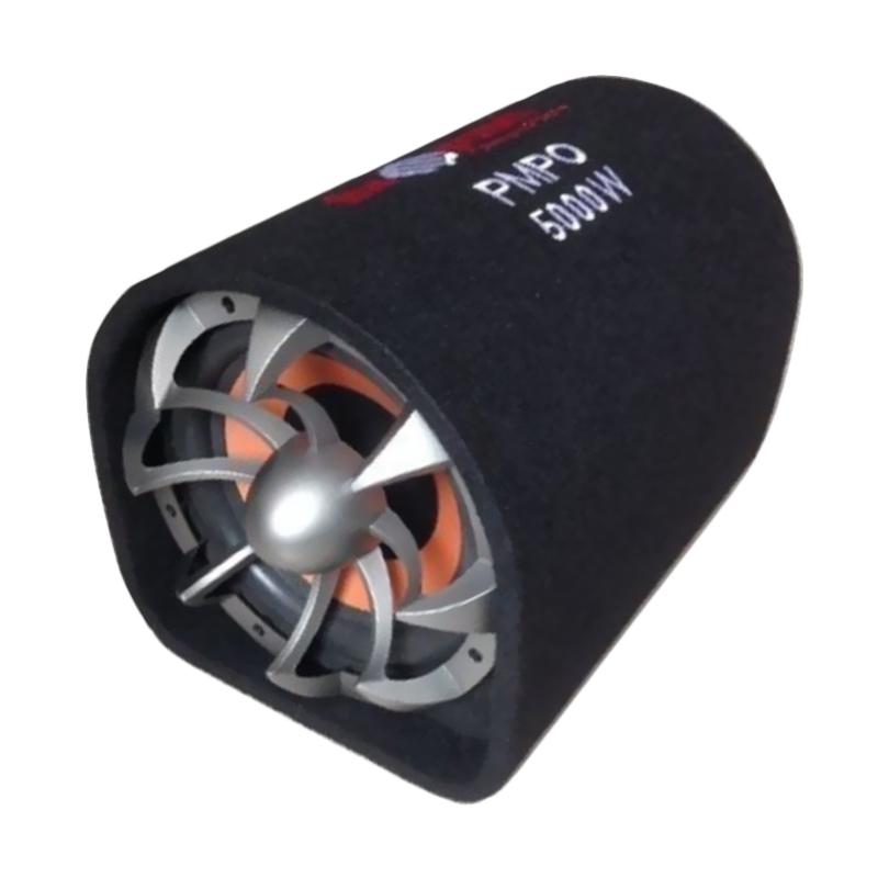 speaker advance 10 inch