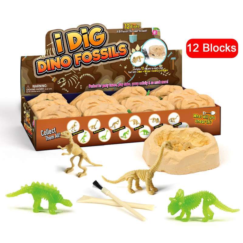 fossil kit toy